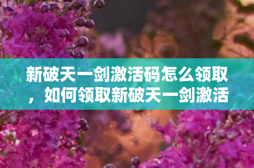 新破天一剑激活码怎么领取图片
