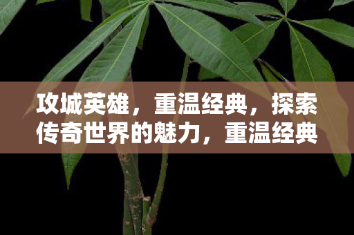攻城英雄,重温经典,探索传奇世界的魅力,重温经典,探索传奇世界的魅力 攻城英雄,重温经典,探索传奇世界的魅力,重温经典,探索传奇世界的魅力