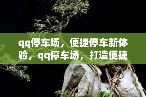 qq停车场，便捷停车新体验，qq停车场，打造便捷停车新体验