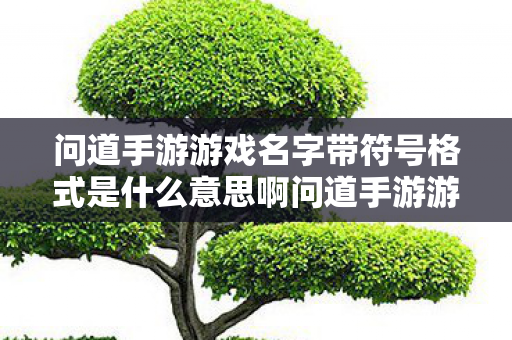 问道手游游戏名字带符号格式是什么意思啊问道手游游戏名字带符号格式是什么意思图片
