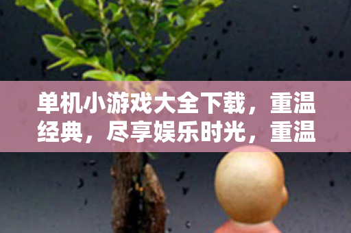 单机小游戏大全下载，重温经典，尽享娱乐时光，重温经典单机游戏，畅享娱乐时光