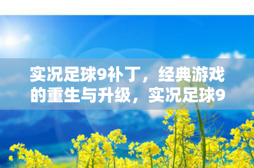 实况足球9补丁,经典游戏的重生与升级,实况足球9补丁,经典游戏的重生与升级 实况足球9补丁,经典游戏的重生与升级,实况足球9补丁,经典游戏的重生与升级