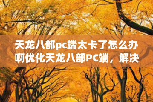 天龙八部pc端太卡了怎么办啊优化天龙八部PC端,解决卡顿问题,优化天龙八部PC端,解决卡顿问题 天龙八部pc端太卡了怎么办啊优化天龙八部PC端,解决卡顿问题,优化天龙八部PC端,解决卡顿问题