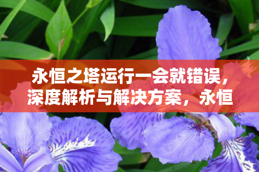 永恒之塔运行一会就错误，深度解析与解决方案，永恒之塔运行错误深度解析及解决方案