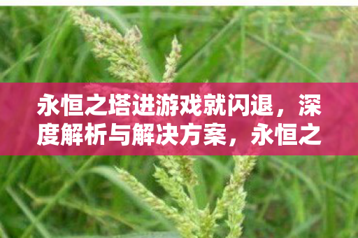 永恒之塔闪退问题深度解析及解决方案图片