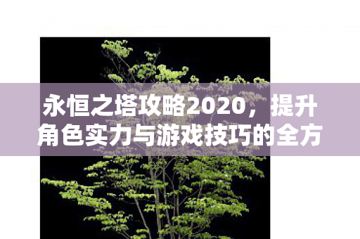 永恒之塔攻略2020，提升角色实力与游戏技巧的全方位指南，永恒之塔2020攻略，提升角色实力与游戏技巧的全方位指南