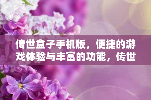 传世盒子手机版，便捷的游戏体验与丰富的功能，传世盒子手机版，便捷游戏与丰富功能体验