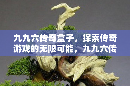 九九六传奇盒子，探索传奇游戏的无限可能，九九六传奇盒子，解锁传奇游戏的无限可能