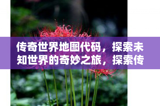 传奇世界地图代码，探索未知世界的奇妙之旅，探索传奇世界地图代码，奇妙之旅开启