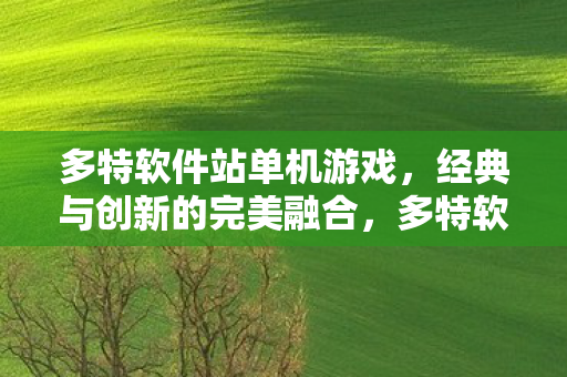 多特软件站单机游戏，经典与创新的完美融合，多特软件站，经典与创新完美融合的单机游戏平台