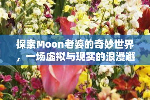 探索Moon老婆的奇妙世界,一场虚拟与现实的浪漫邂逅,Moon老婆的奇妙世界,虚拟与现实的浪漫邂逅 探索Moon老婆的奇妙世界,一场虚拟与现实的浪漫邂逅,Moon老婆的奇妙世界,虚拟与现实的浪漫邂逅