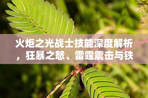 火炬之光战士技能深度解析,狂暴之怒、雷霆震击与铁血意志,火炬之光战士技能深度解析,狂暴之怒、雷霆震击与铁血意志 火炬之光战士技能深度解析,狂暴之怒、雷霆震击与铁血意志,火炬之光战士技能深度解析,狂暴之怒、雷霆震击与铁血意志