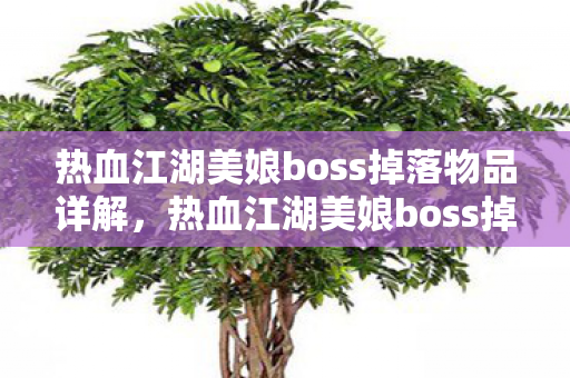 热血江湖美娘boss掉落物品全解析图片