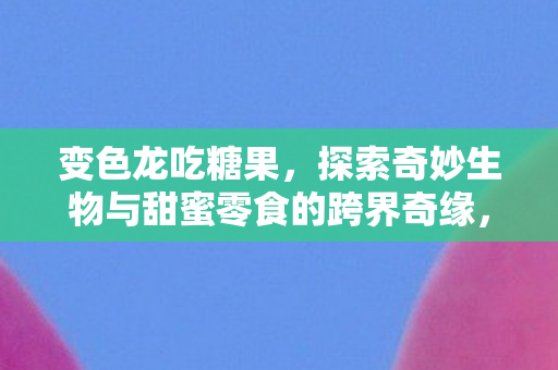 变色龙吃糖果，探索奇妙生物与甜蜜零食的跨界奇缘，变色龙与糖果，跨界奇缘的奇妙探索