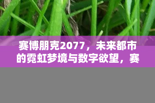 赛博朋克2077,未来都市的霓虹梦境与数字欲望,赛博朋克2077,霓虹梦境与数字欲望的未来都市 赛博朋克2077,未来都市的霓虹梦境与数字欲望,赛博朋克2077,霓虹梦境与数字欲望的未来都市