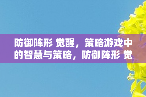 防御阵形 觉醒，策略游戏中的智慧与策略，防御阵形 觉醒策略游戏中的智慧与策略