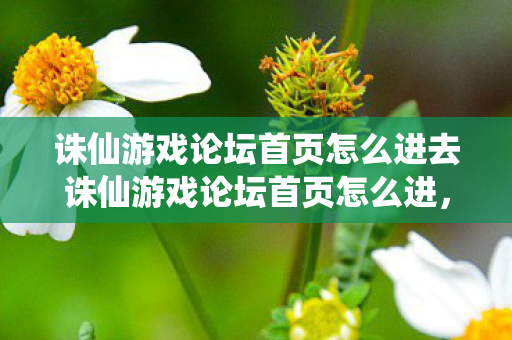 诛仙游戏论坛首页怎么进去诛仙游戏论坛首页怎么进图片