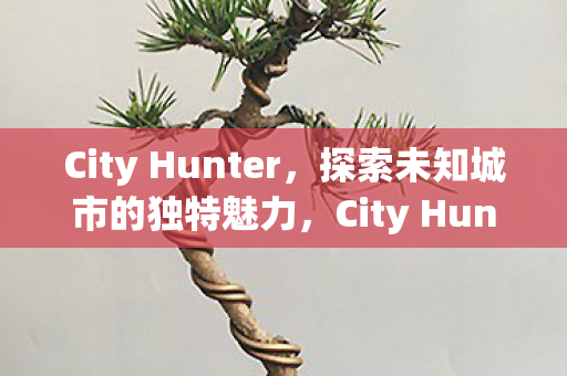 City Hunter，探索未知城市的独特魅力，City Hunter，探索未知城市的独特魅力