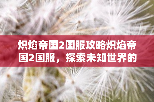 炽焰帝国2国服攻略炽焰帝国2国服，探索未知世界的奇幻之旅，炽焰帝国2国服，探索未知世界的奇幻之旅攻略