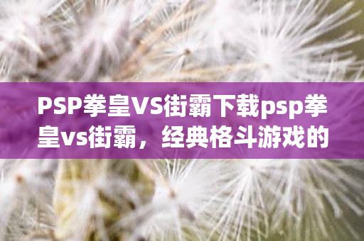 PSP拳皇VS街霸下载psp拳皇vs街霸，经典格斗游戏的碰撞与融合，PSP拳皇VS街霸，经典格斗游戏的碰撞与融合