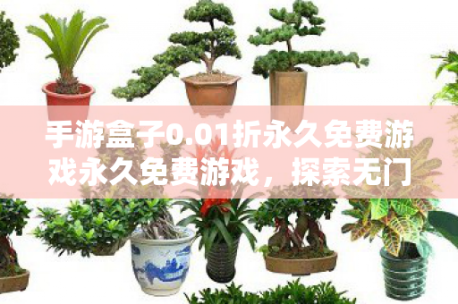 手游盒子0.01折永久免费游戏永久免费游戏，探索无门槛娱乐的新世界，探索无门槛娱乐，手游盒子0.01折永久免费游戏