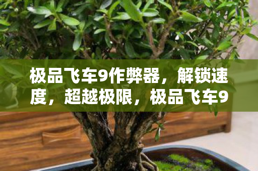 极品飞车9作弊器，解锁速度，超越极限，极品飞车9作弊器，解锁速度，超越极限