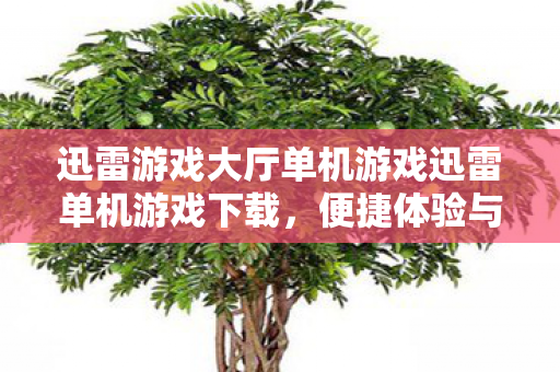 迅雷游戏大厅单机游戏迅雷单机游戏下载，便捷体验与海量资源的完美融合，迅雷游戏大厅，便捷体验与海量单机游戏的完美融合