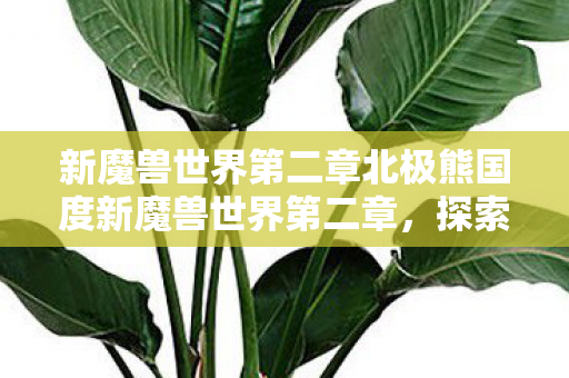 新魔兽世界第二章北极熊国度新魔兽世界第二章,探索未知,挑战极限,新魔兽世界第二章,北极熊国度的探索与挑战 新魔兽世界第二章北极熊国度新魔兽世界第二章,探索未知,挑战极限,新魔兽世界第二章,北极熊国度的探索与挑战