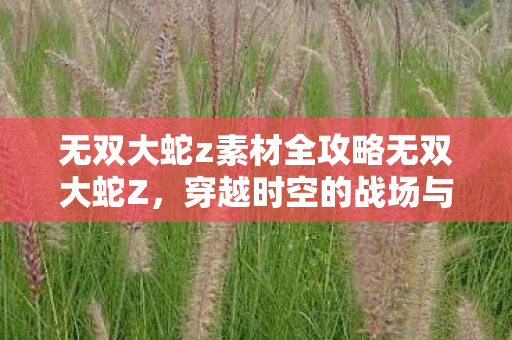 无双大蛇z素材全攻略无双大蛇Z,穿越时空的战场与英雄们的传奇,无双大蛇Z,穿越时空的战场与英雄传奇全攻略 无双大蛇z素材全攻略无双大蛇Z,穿越时空的战场与英雄们的传奇,无双大蛇Z,穿越时空的战场与英雄传奇全攻略