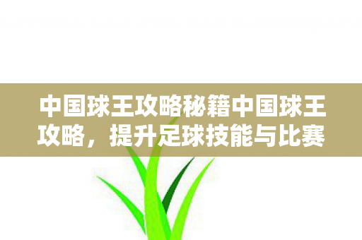 中国球王攻略秘籍中国球王攻略，提升足球技能与比赛策略的全面指南，中国球王攻略秘籍，提升足球技能与比赛策略的全面指南