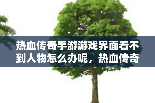 热血传奇手游游戏界面看不到人物怎么办呢图片
