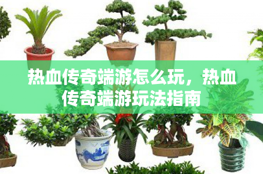 热血传奇端游玩法指南图片