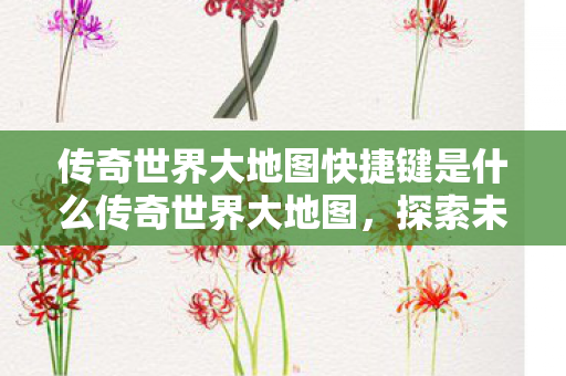 传奇世界大地图快捷键是什么传奇世界大地图，探索未知，重温经典，传奇世界大地图，探索未知，重温经典