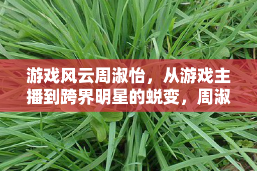 游戏风云周淑怡，从游戏主播到跨界明星的蜕变，周淑怡，从游戏主播到跨界明星的蜕变之路