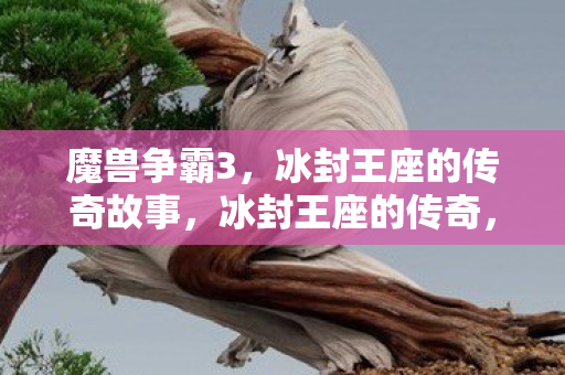 魔兽争霸3，冰封王座的传奇故事，冰封王座的传奇，魔兽争霸3的故事