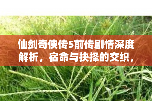 仙剑奇侠传5前传剧情深度解析图片