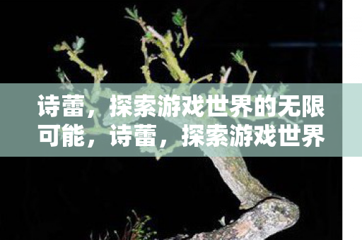 诗蕾，探索游戏世界的无限可能，诗蕾，探索游戏世界的无限可能