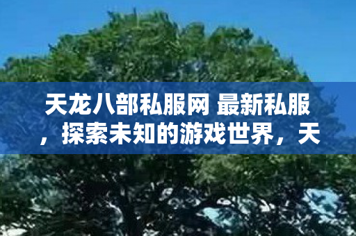 天龙八部私服网 最新私服,探索未知的游戏世界,天龙八部私服网,探索全新游戏世界,尽享无限乐趣! 天龙八部私服网 最新私服,探索未知的游戏世界,天龙八部私服网,探索全新游戏世界,尽享无限乐趣!