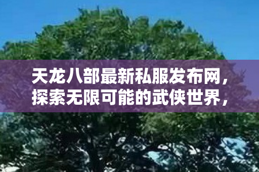 天龙八部最新私服发布网，探索无限可能的武侠世界，天龙八部私服发布，探索武侠世界的无限可能