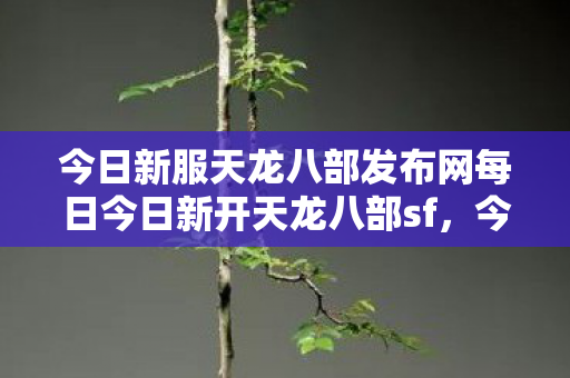今日新服天龙八部发布网每日今日新开天龙八部sf，今日新服天龙八部发布网，每日新开天龙八部SF
