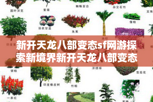 新开天龙八部变态sf网游探索新境界新开天龙八部变态sf网，畅游武侠世界的无限可能，新开天龙八部变态sf网游，探索武侠世界的无限可能