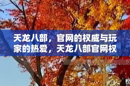 天龙八部，官网的权威与玩家的热爱，天龙八部官网权威与玩家热爱并存