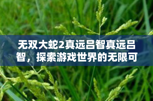 无双大蛇2真远吕智真远吕智,探索游戏世界的无限可能,无双大蛇2真·远吕智,探索游戏世界的无限可能 无双大蛇2真远吕智真远吕智,探索游戏世界的无限可能,无双大蛇2真·远吕智,探索游戏世界的无限可能