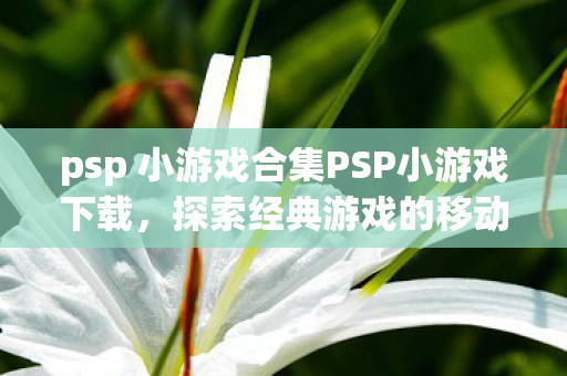 psp 小游戏合集PSP小游戏下载,探索经典游戏的移动乐趣,PSP经典小游戏合集,探索移动游戏的乐趣 psp 小游戏合集PSP小游戏下载,探索经典游戏的移动乐趣,PSP经典小游戏合集,探索移动游戏的乐趣