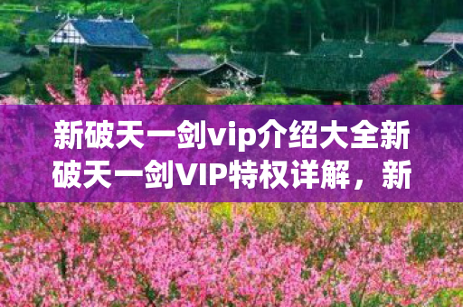 新破天一剑vip介绍大全新破天一剑VIP特权详解，新破天一剑VIP特权详解