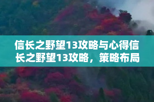 信长之野望13攻略与心得信长之野望13攻略，策略布局与势力扩张指南，信长之野望13，策略布局与势力扩张全攻略