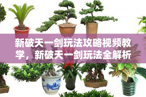 新破天一剑玩法攻略视频教学,新破天一剑玩法全解析,视频教学助你轻松上手 新破天一剑玩法攻略视频教学,新破天一剑玩法全解析,视频教学助你轻松上手