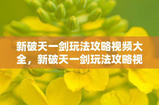 新破天一剑玩法攻略视频全解析图片