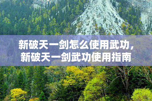 新破天一剑怎么使用武功图片