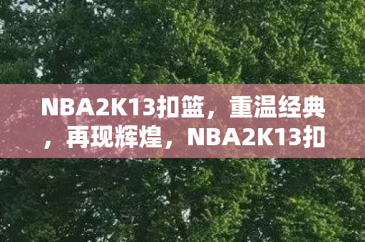 NBA2K13扣篮，重温经典，再现辉煌，NBA2K13扣篮，重温经典，再现辉煌